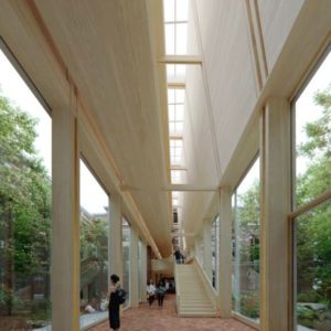 LILLE MHN 1 LILLE MHN 1